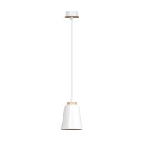 witte 1x