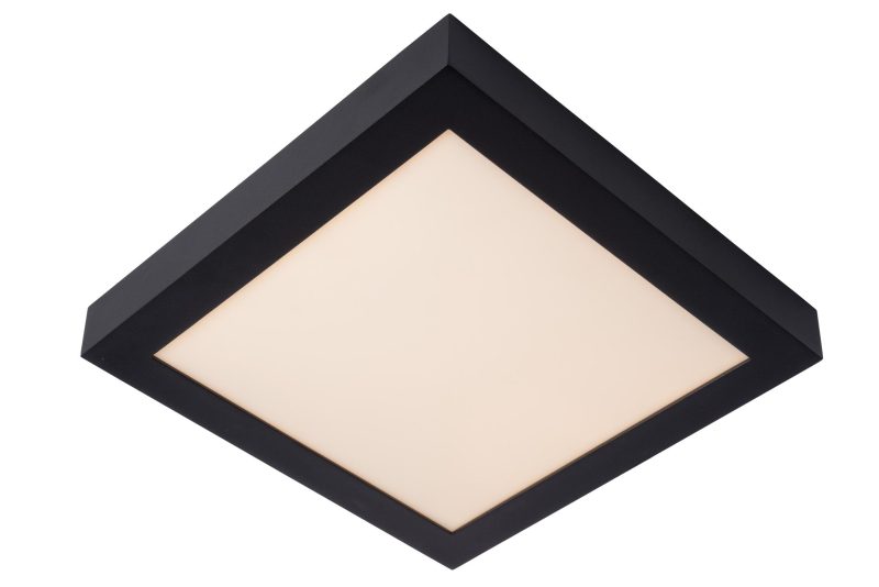 LUCIDE BRICE-LED - Bathroom Ceiling Light - Dimmable LED