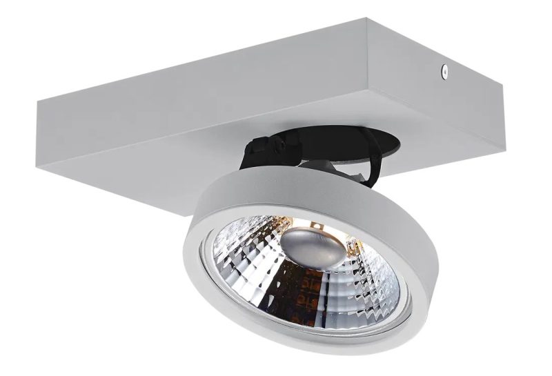 Fantasia AEON plafondspot AR111 12W wit, set van 2, dimbaar