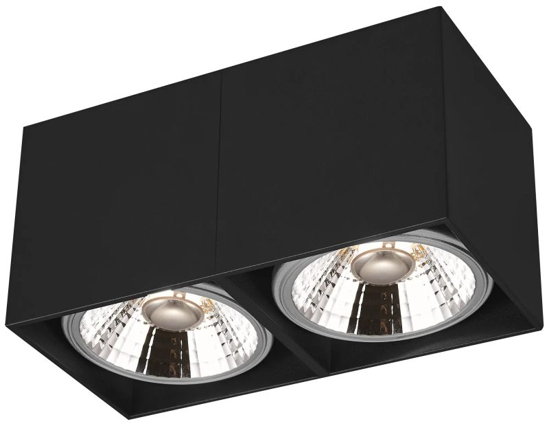 Fantasia Box 2L lámpara techo negra, 2x AR111 12W regulable