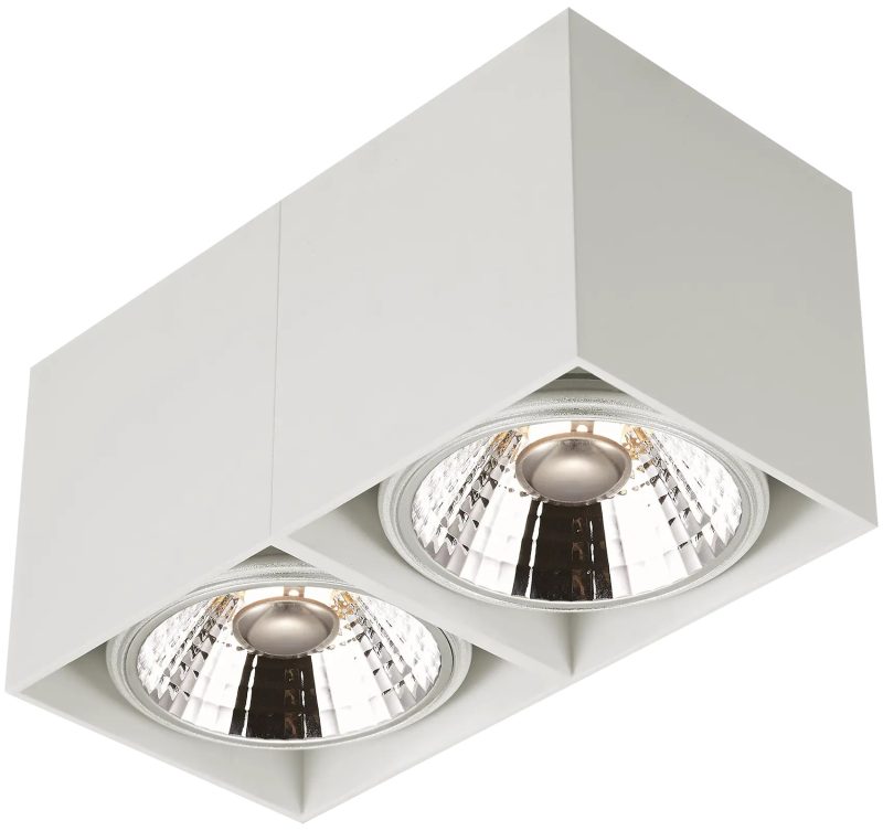 Fantasia Box 2L plafondlamp wit, 2x AR111 12W dimbaar