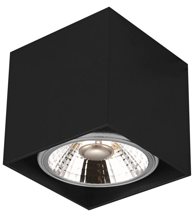 Fantasia Box 1L opbouwspot zwart, AR111 12W dimbaar