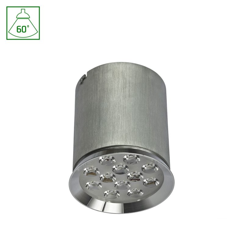 Spectrum LED CHLOE  12LED  230V 12W IP20  60DEG  WW CEILING