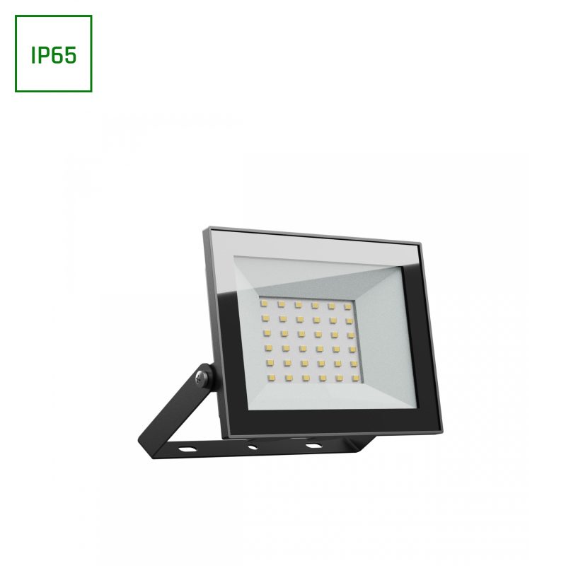 Spectrum LED NOCTIS LUX 4 FLOODLIGHT 30W CW 230V IP65