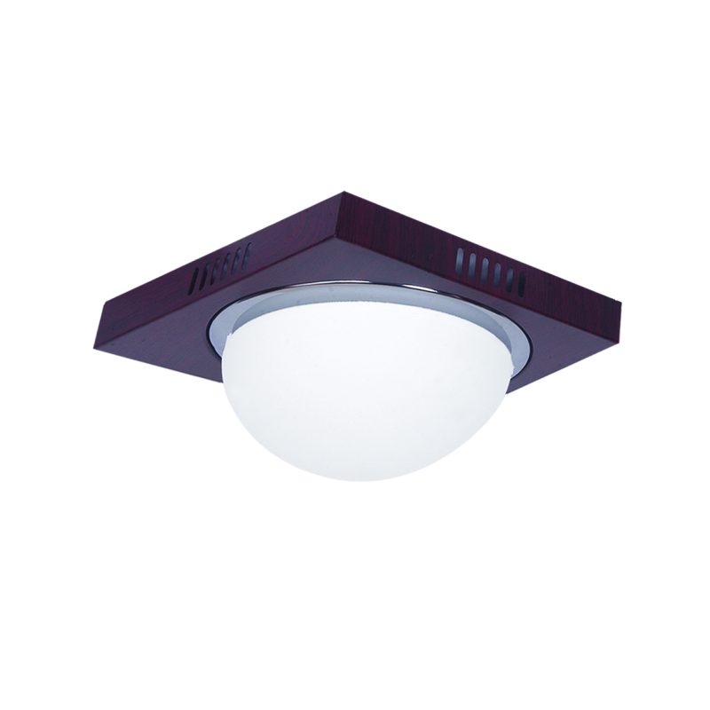 Homelighting Teco 3081F Ø24