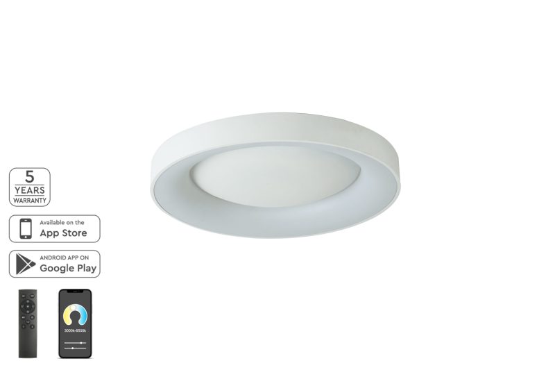 Homelighting Amaya SE LED 60