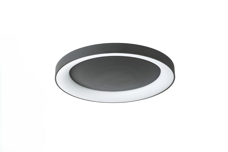 Homelighting Amaya SE LED 80