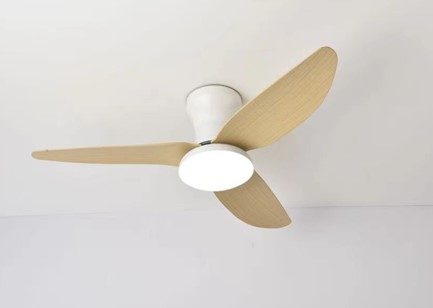 Homelighting Windy SE LED F100 30W