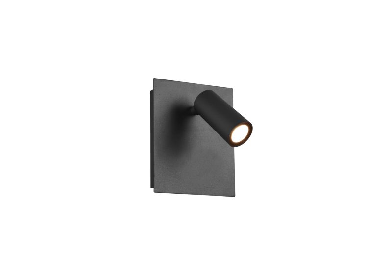 Trio Lighting Tunga adjustable outdoor wall light LED 4W 3000K anthracite