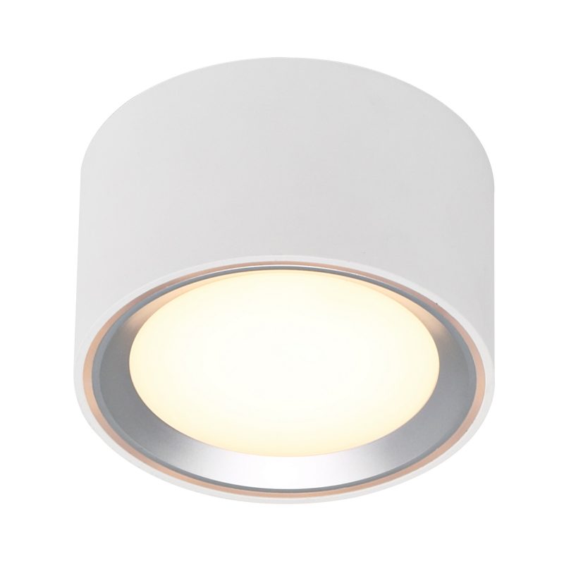 Nordlux Fallon - Surface downlight - White/Steel