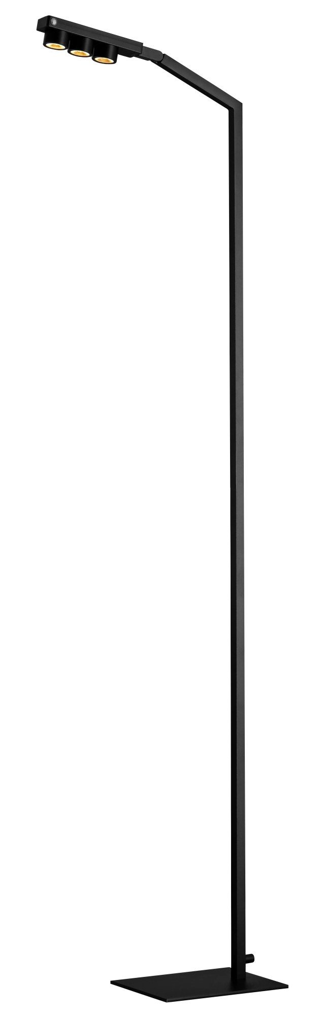 Fantasia Jutai lampadaire noir, LED 10,4W, variable, orientable