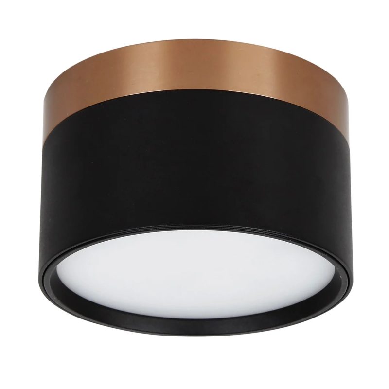 Fantasia RAKU LED surface-mounted spot brushed bronze/black
